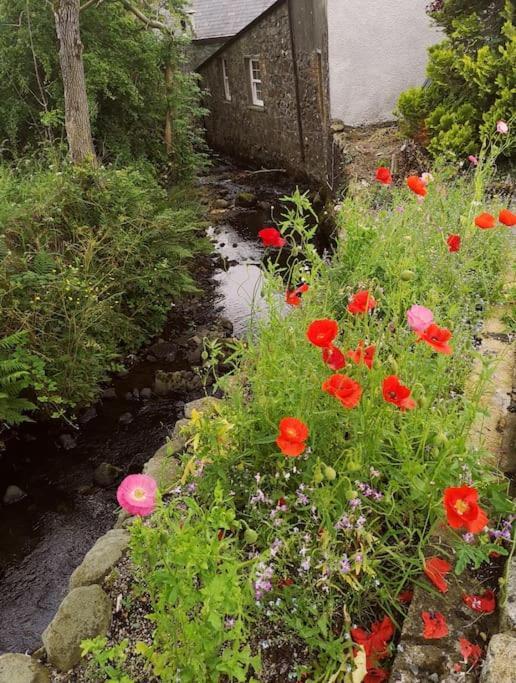 Riverside Cottage At Logwood Mill Ballyclare Экстерьер фото