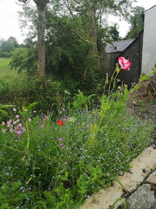Riverside Cottage At Logwood Mill Ballyclare Экстерьер фото