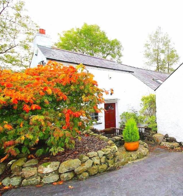 Riverside Cottage At Logwood Mill Ballyclare Экстерьер фото