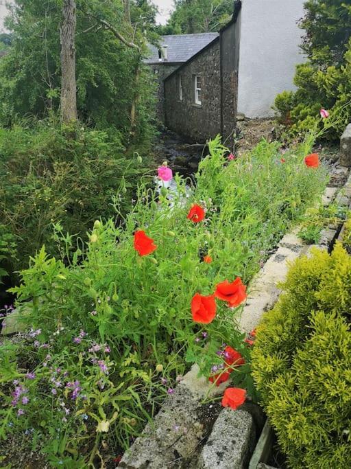 Riverside Cottage At Logwood Mill Ballyclare Экстерьер фото