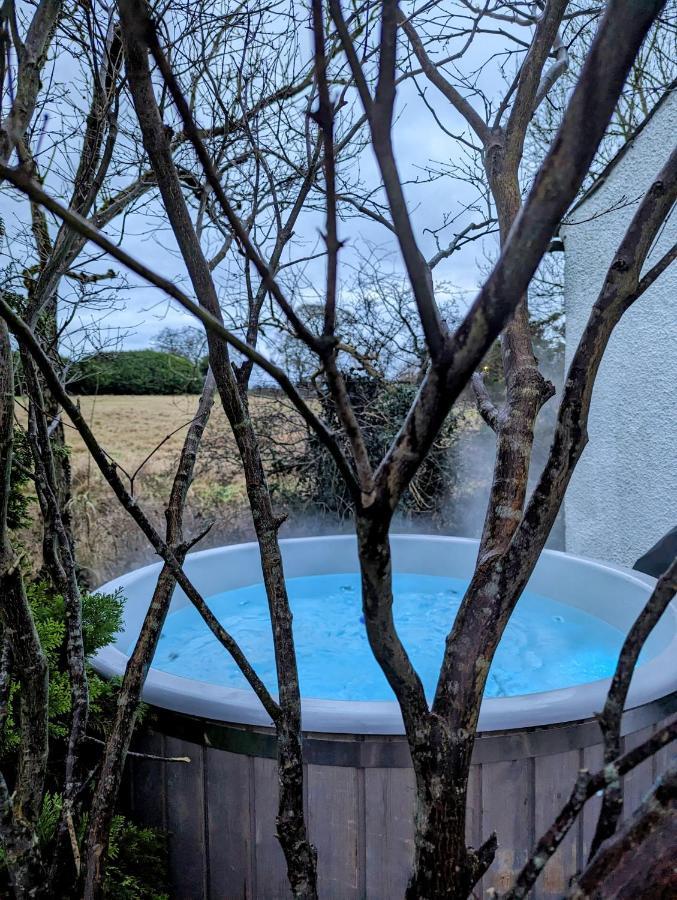 Riverside Cottage At Logwood Mill Ballyclare Экстерьер фото