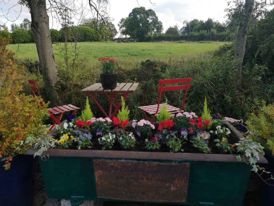 Riverside Cottage At Logwood Mill Ballyclare Экстерьер фото